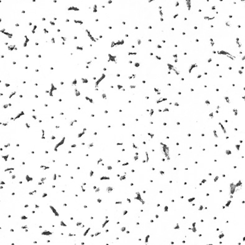 Certainteed Baroque Tile